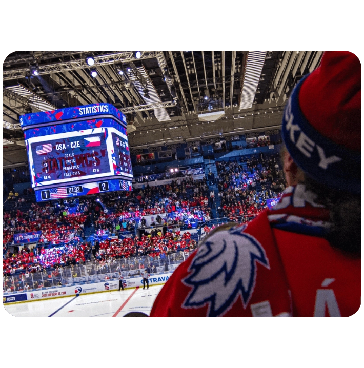 Fan watching the game stats
